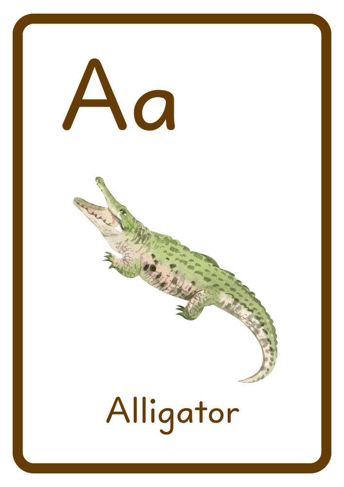 A is for Alligator