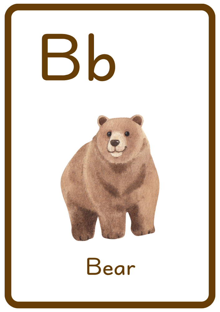 B is for Bear