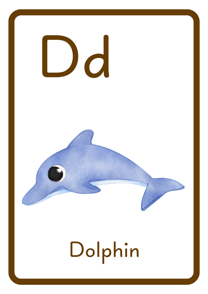 D is for Dolphin