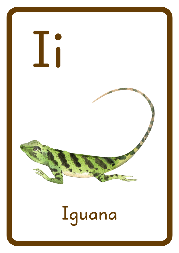 I is for Iguana