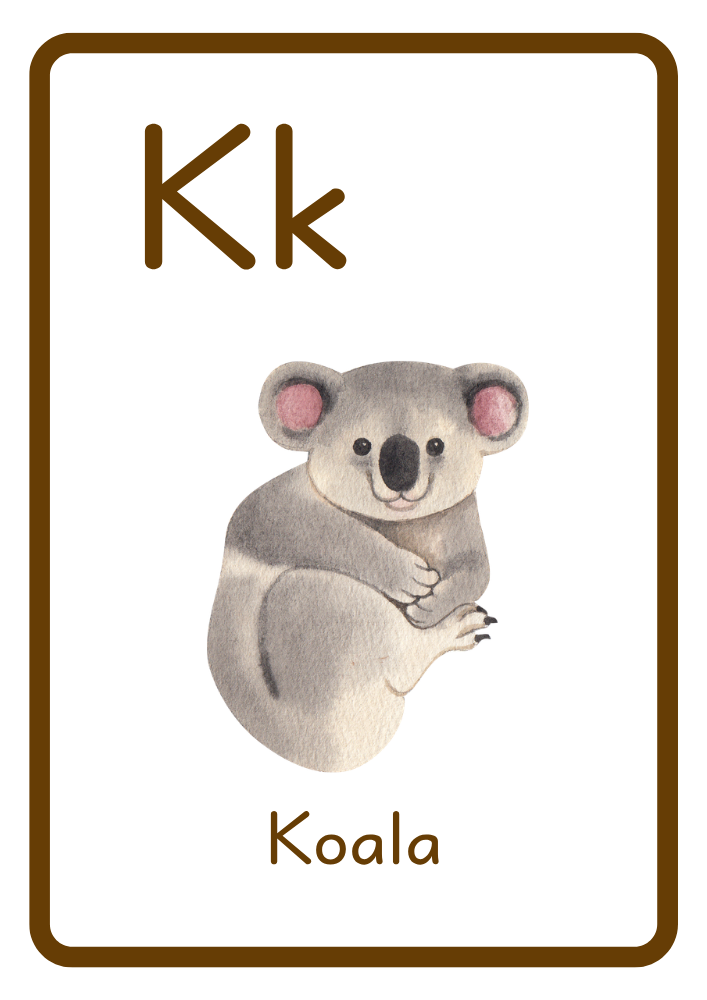 K is for Koala