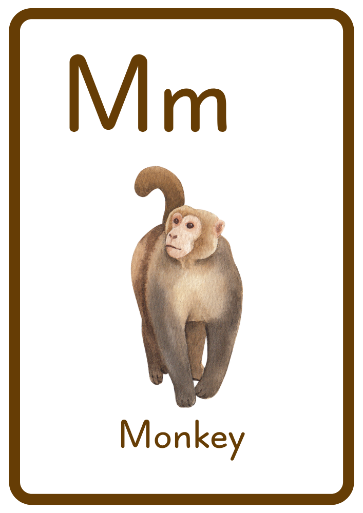 M is for Monkey