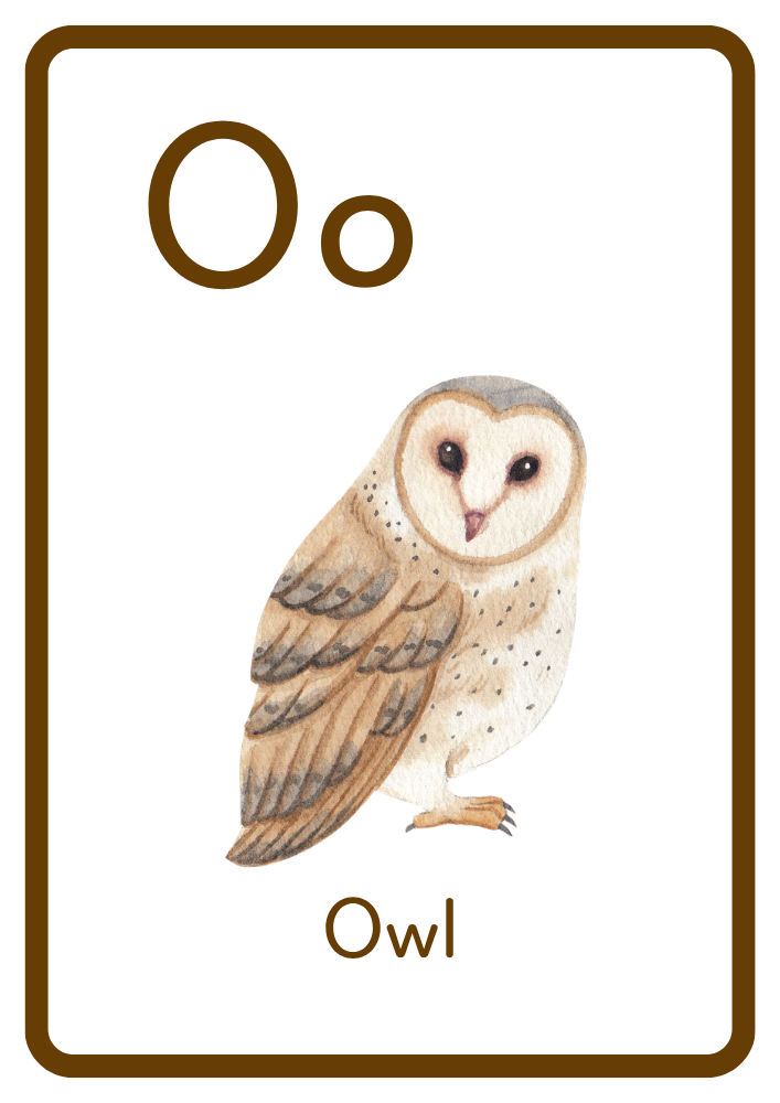 O is for Owl