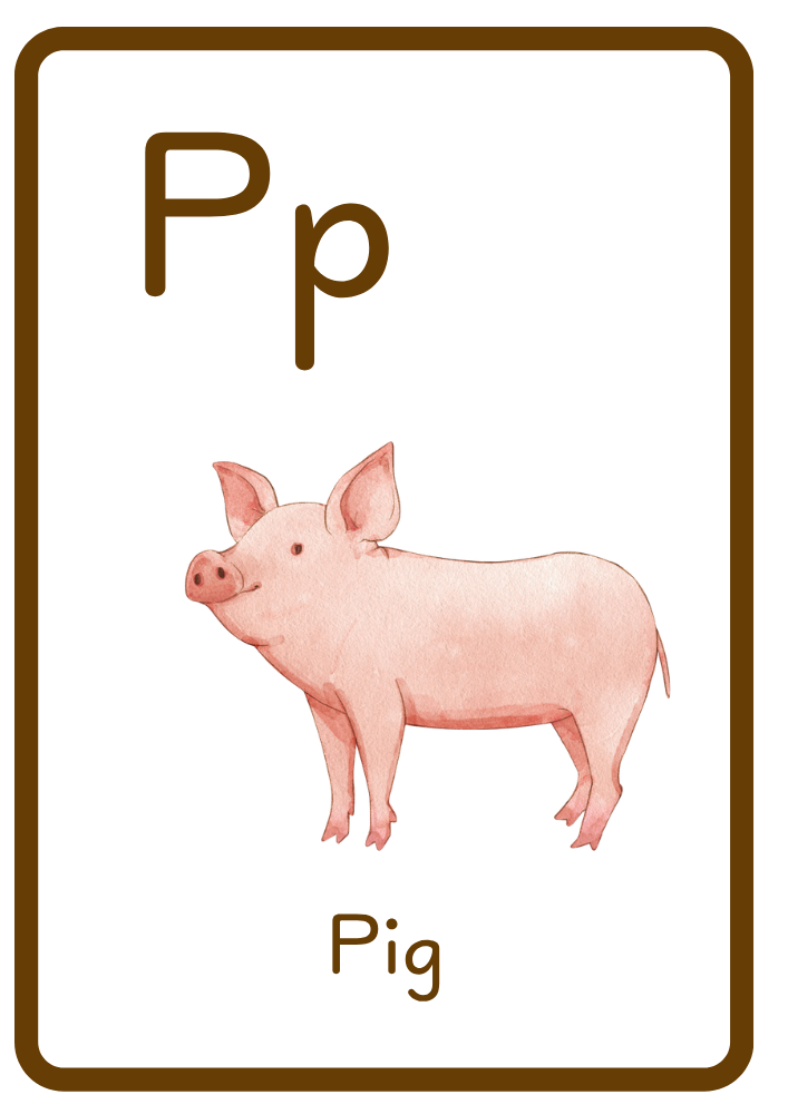 P is for Pig