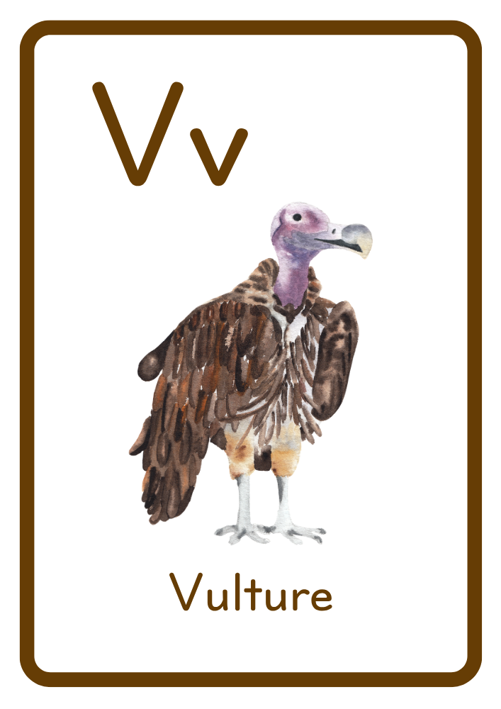 V is for Vulture