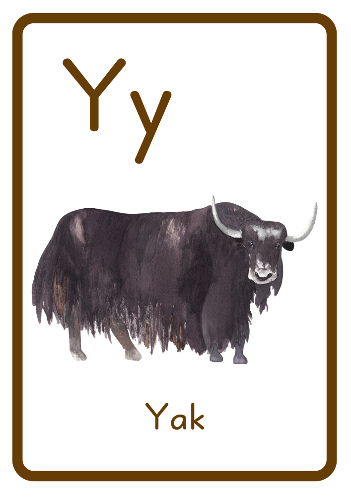 Y is for Yak
